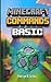 MINECRAFT BASIC COMMANDS