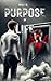 What is Purpose of Life by Ali Ansari