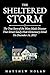 The Sheltered Storm by Matthew Nolan