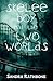 Skelee Boy and the Two Worlds by Sandra Rathbone