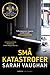 Små katastrofer
