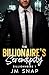 The Billionaire's Serendipity by JM Snap