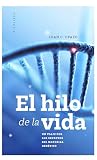 El hilo de la vid...