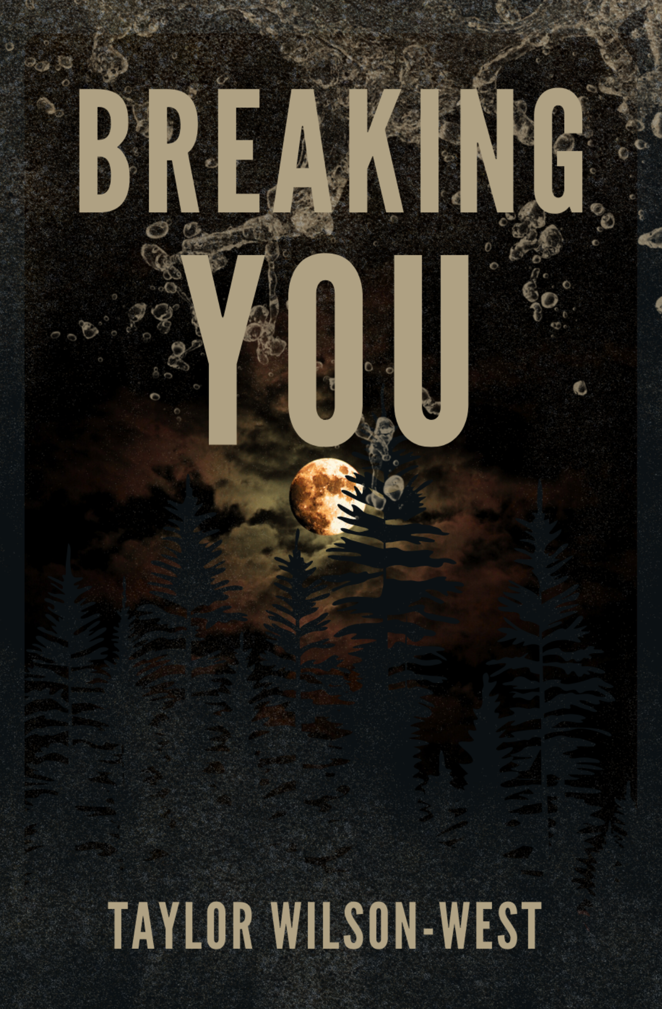 Breaking You (Gravity Hill #2)