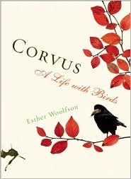 Corvus