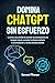 Domina ChatGPT sin esfuerzo...