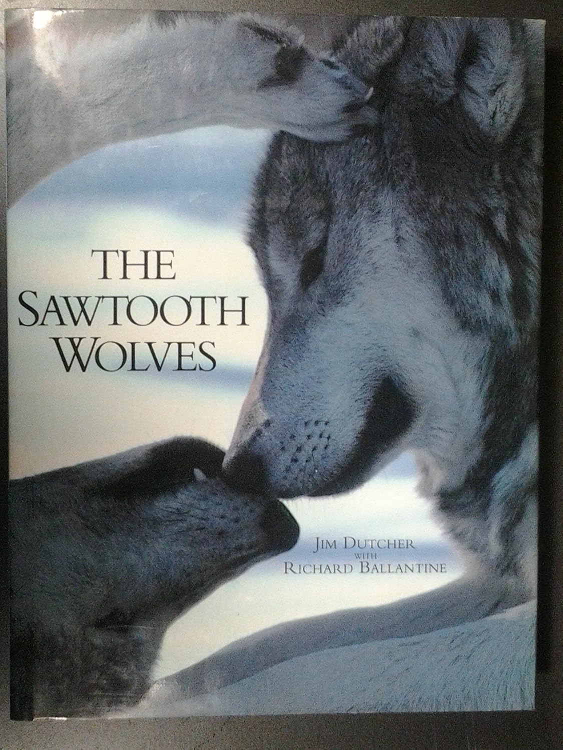 The Sawtooth Wolves (Hardcover)