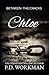 Chloe (Between the Cracks #4 (Contemporary YA))