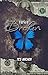 Twice Broken: A Dark Contem...