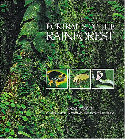 Portraits of the Rainforest (Paperback)