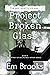 Project Broken Glass: Book ...