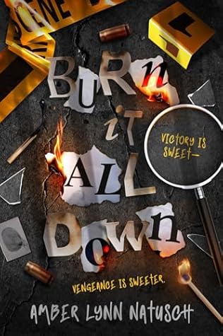 Burn It All Down (Hometown Antihero #4)