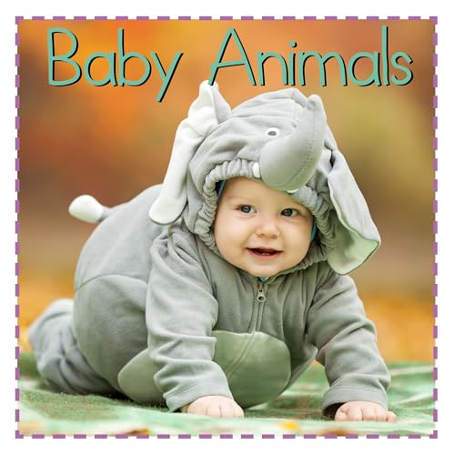 Baby Animals (Baby Firsts)