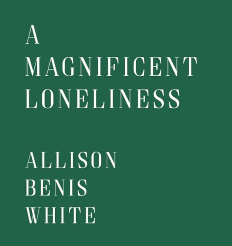 A Magnificent Loneliness (Paperback)