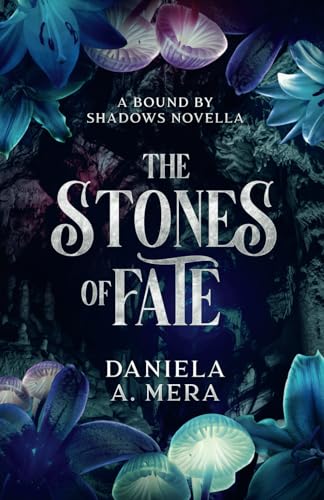 The Stones of Fate: a Fantasy Romance Enemies To Lovers Novella (Paperback)