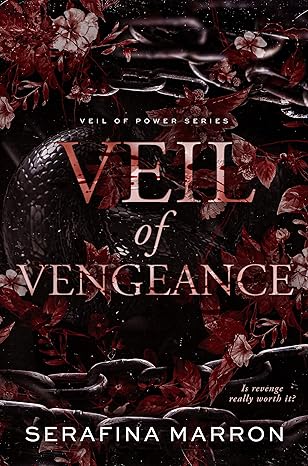 Veil of Vengeance (Veil of Power #1)