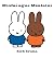Dalen Eireann Miofai agus Mealaini (Miofai as Gaeilge) (Irish... by Dick Bruna