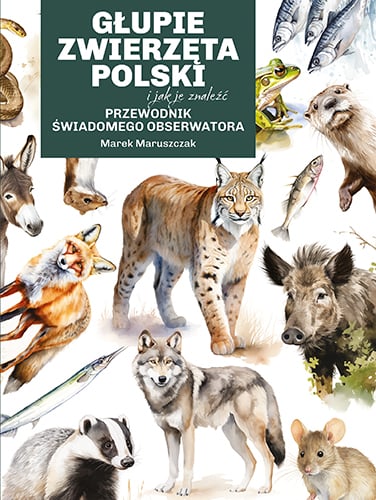 Głupie zwierzęta Polski i jak je znaleźć. Przewodnik świadomego obserwatora (Hardcover)