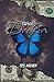 Twice Broken by Tes Archer