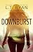 Downburst (Ein Rachel Hatch...