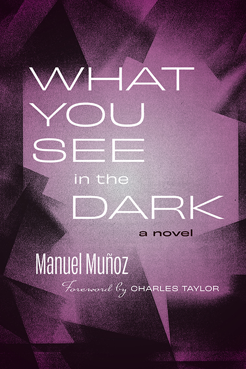 What You See in the Dark: A Novel (Paperback)