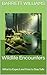 Wildlife Encounters: What to Expect and How to Stay Safe (Exploring Dater Mountain: A Hiker's Guide to Nature and Adventure Book 6)