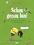 Schau genau hin!