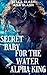 Secret Baby For The Water Alpha King by Bella Slash