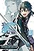 Sword Art Online Re:Aincrad...