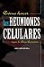 COMO HACER LAS REUNIONES CE...