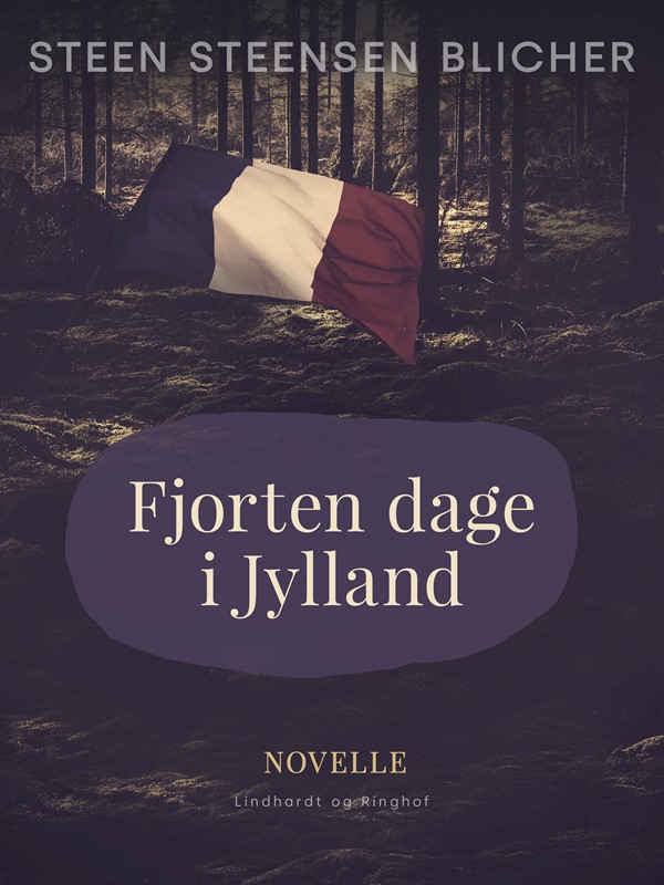 Fjorten Dage i Jylland og andre Noveller (Paperback)