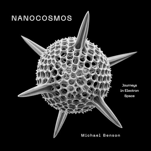 Nanocosmos: Journeys in Electron Space (Hardcover)