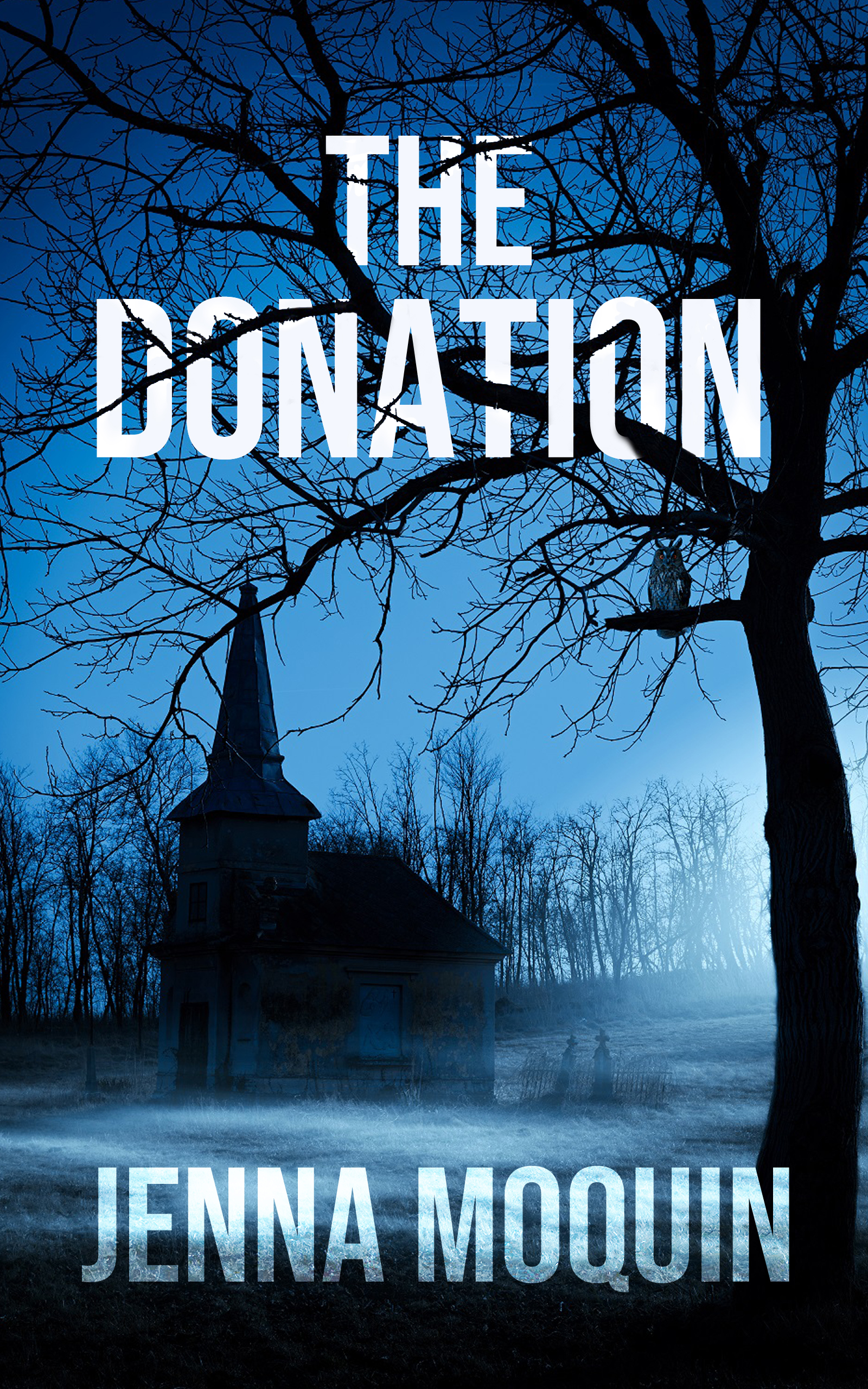 The Donation: A Novelette