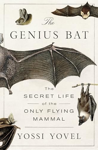The Genius Bat: The Secret Life of the Only Flying Mammal (Hardcover)