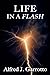 Life in a Flash