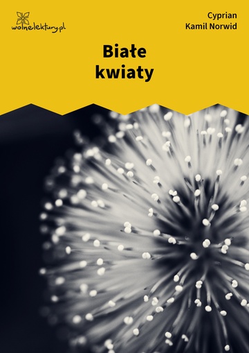 Białe kwiaty (ebook)