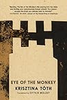 Book cover for Eye of the Monkey: A Novel