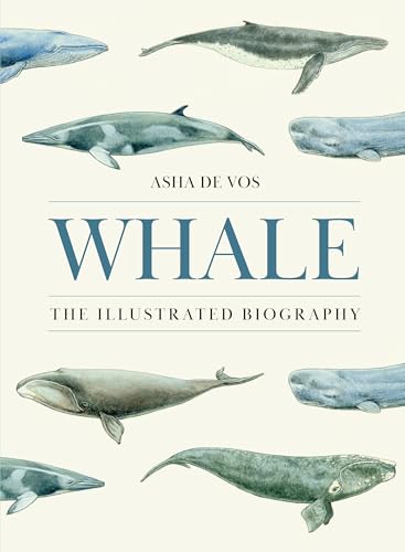 Whale: The Illustrated Biography (Hardcover)