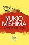 Cavalos em Fuga