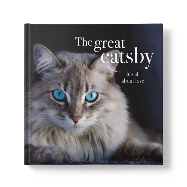 The Great Catsby: It's All About Love (Hardcover)