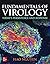 Fundamentals of Virology: Today's Persistence and Response