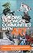 Building Stronger Communiti...