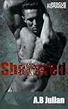 Shattered: M/M Rescue Romance (Tarnished)