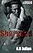 Shattered by A.B Julian