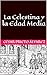La Celestina y la Edad Media (Estudios de Literatura Española... by César Prieto Álvarez