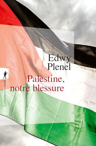 Palestine, notre blessure (Paperback)
