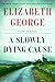 A Slowly Dying Cause by Elizabeth  George