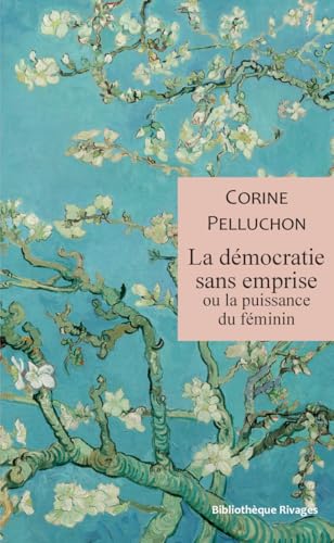 La démocratie sans emprise ou la puissance du féminin (Paperback)