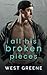 All His Broken Pieces: MM Enemies to Lovers Romance (Faultless Flaws)