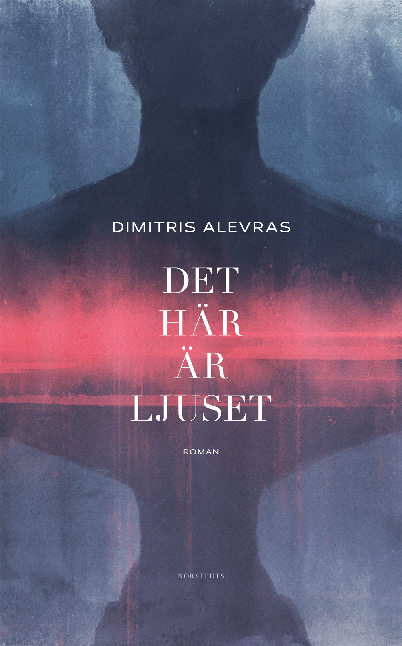 Det här är ljuset (Hardcover)